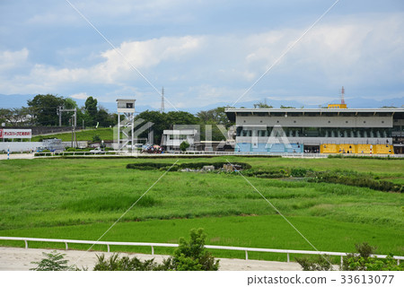 Shinomatsu horse racing Shinomatsu horse racing 33613077