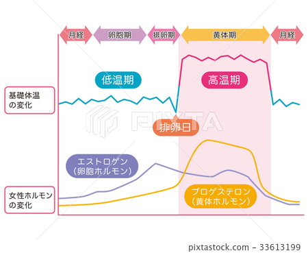 基礎體溫表基礎體溫女性荷爾蒙 33613199