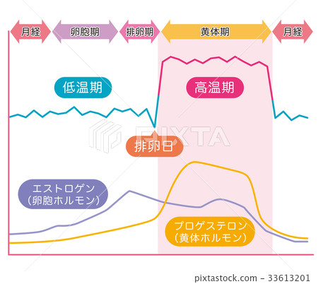 基礎體溫表基礎體溫女性荷爾蒙 基礎體溫表基礎體溫女性荷爾蒙 33613201