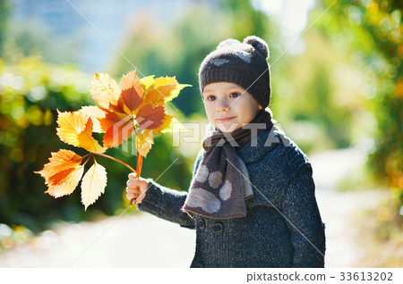 Little boy playing with autumn leaves Little boy playing with autumn leaves 33613202
