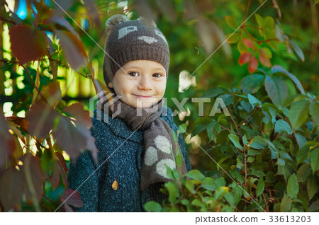 happy child boyl throws autumn leaves and laughs 33613203