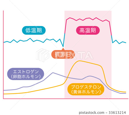 基礎體溫表基礎體溫女性荷爾蒙 33613214
