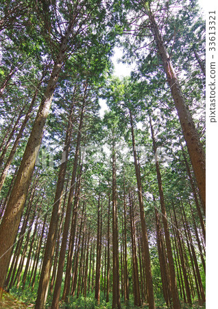 檜木站 檜木站 33613321