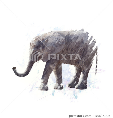 Baby Elephant watercolor 33613906
