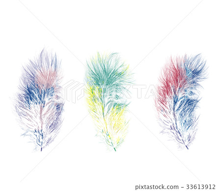 Set of watercolor feathers Set of watercolor feathers 33613912