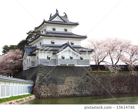 Shibata城堡的春天 33614786