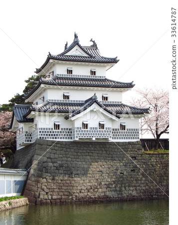 Shibata城堡的春天 Shibata城堡的春天 33614787