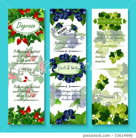 Vector banners of fresh berries for berry shop 33614990