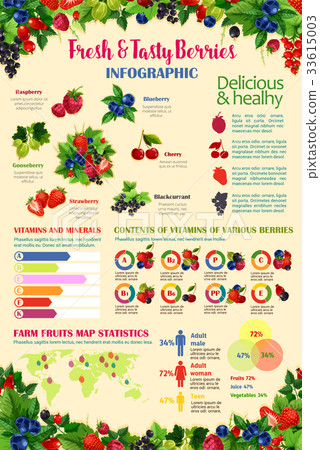 Vector infographics template for fresh berries 33615003