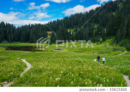 Mountain with Blue Sky and Green Grass and Lake 33615808
