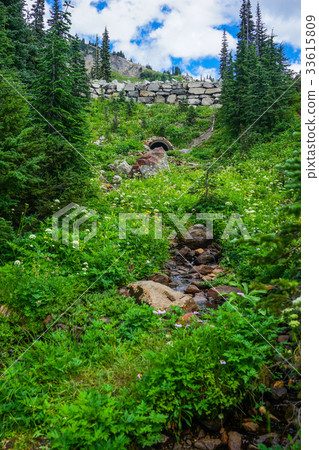 Sewer with Green Grass and Blue Sky 33615809