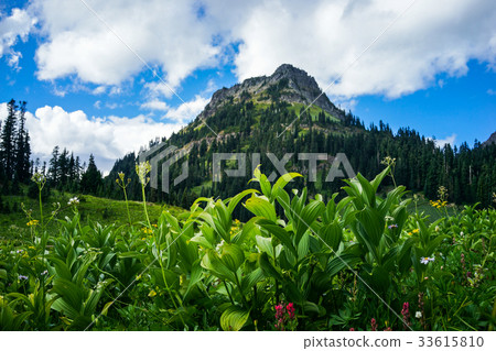 Mountain with Blue Sky and Green Grass and Lake Mountain with Blue Sky and Green Grass and Lake 33615810