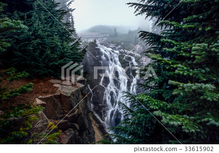 Foggy Myrtle Falls Creek 33615902