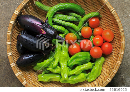 Modest harvest Shiomi Town 33616923