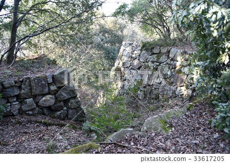Azuchi Castle ruined Honmaru tiger mouth Azuchi Castle ruined Honmaru tiger mouth 33617205