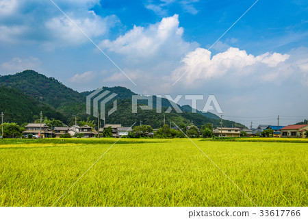 農村風景藍天 農村風景藍天 33617766
