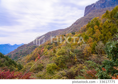 長野·群馬縣界，秋葉的阿拉伯山 33617775