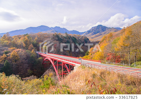 Autumn leaves of Yamanashi prefecture, Higashi-zawa Bridge 33617825