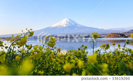 Mount fuji at Lake kawaguchiko. Mount fuji at Lake kawaguchiko. 33619260
