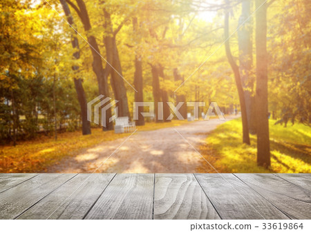 Old wooden table top with leaves falling in forest 33619864