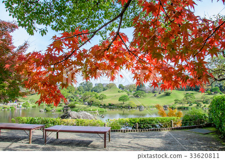 Suizenji Seikeien秋葉 Suizenji Seikeien秋葉 33620811