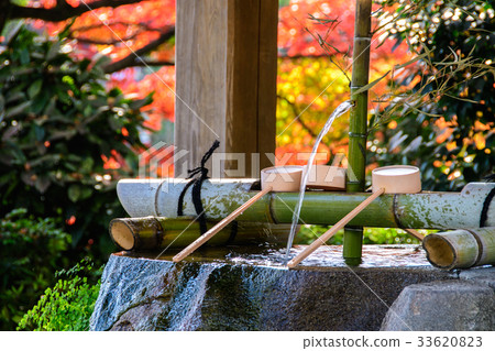 Autumn leaves of Suizenji Seikeien 33620823
