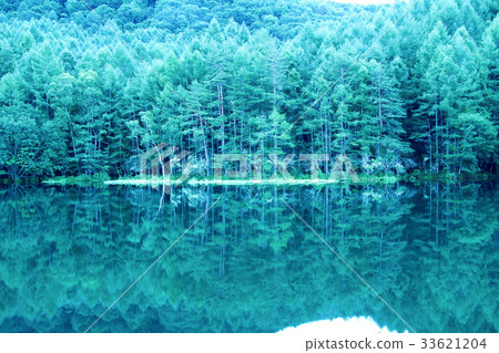 Shrine pond Shrine pond 33621204