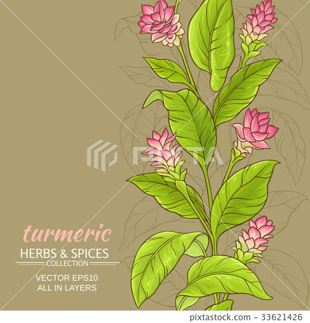 turmeric flower background 33621426