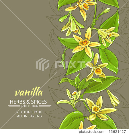 vanilla vector background vanilla vector background 33621427