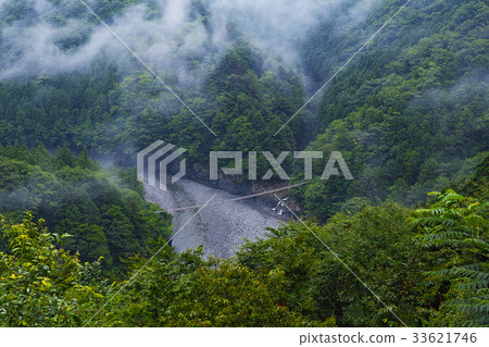[Shizuoka/unexplored area] Sumatakyo Monkey Row Bridge 33621746