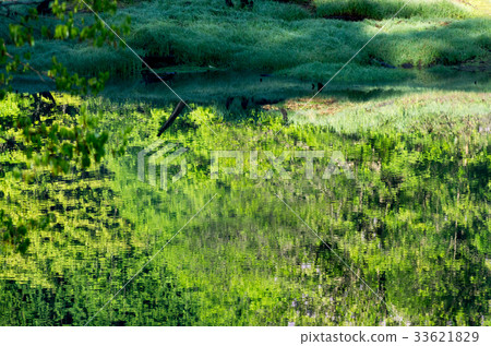 Scenery reflected on the lake surface Scenery reflected on the lake surface 33621829