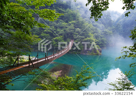 [靜岡縣，未開發的領土]夢想的懸索橋 33622154