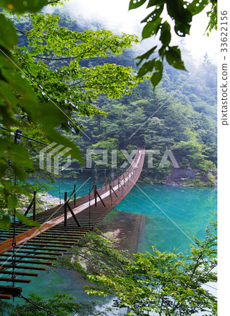 [靜岡縣，未開發的領土]夢想的懸索橋 33622156