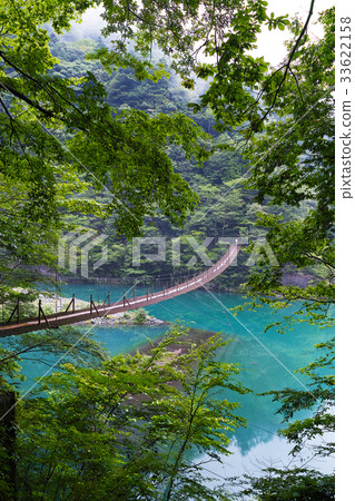 [Shizuoka Prefecture, unexplored territory] Suspension bridge of the dream 33622158