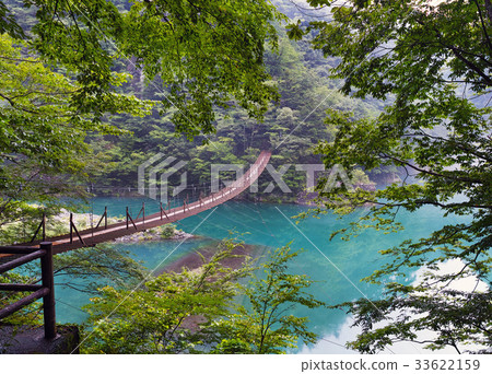 [Shizuoka Prefecture, unexplored territory] Suspension bridge of the dream 33622159