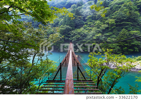 [Shizuoka Prefecture, unexplored territory] Suspension bridge of the dream 33622170