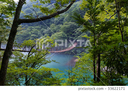 [Shizuoka Prefecture, unexplored territory] Suspension bridge of the dream 33622171