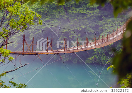 [Shizuoka Prefecture, unexplored territory] Suspension bridge of the dream 33622172
