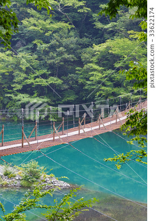 [Shizuoka Prefecture, unexplored territory] Suspension bridge of the dream 33622174