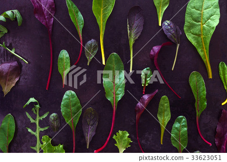 baby salad leaves 33623051