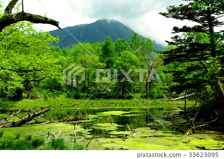 Oku Nikko-Izumimon Pond (Izumi Midorike) 33623095