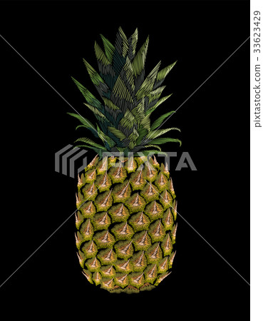 Embroidered yellow pineapple fruit. Fashion print Embroidered yellow pineapple fruit. Fashion print 33623429