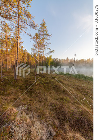 Small forest lake at sunrise Small forest lake at sunrise 33630278