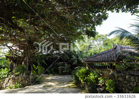 Okinawa  33631626