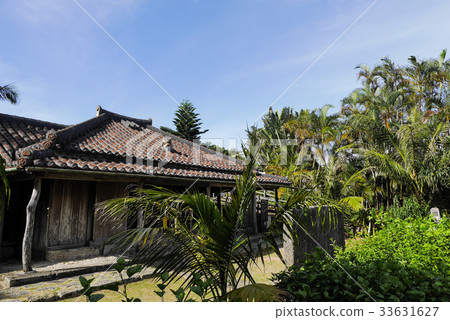 Okinawa  33631627