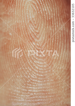 Fingerprint close-up 33632105