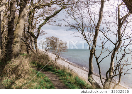 Langeland beach Dovnsklint Langeland beach Dovnsklint 33632936