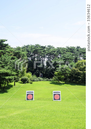 本土宮殿，野雞，目標，目標 33634612