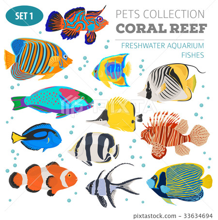 Freshwater aquarium coral  fish icon set  33634694