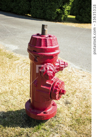 紅色消防栓加拿大溫哥華島 33635318